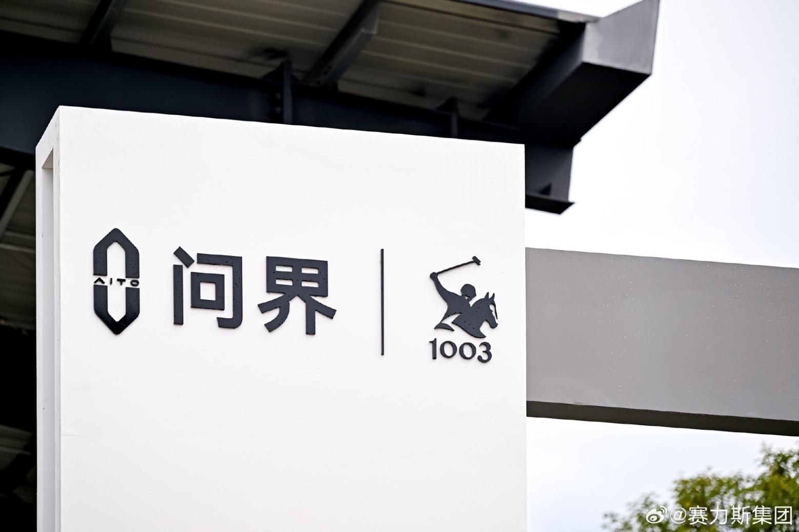 賽力斯赴港IPO，選擇比努力更重要？